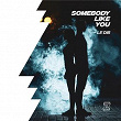 Somebody Like You | Le Dib