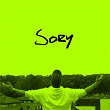 Sory | Fabijanski