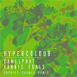 Hypercolour (Patrice Bäumel Remix) | Camelphat X Yannis