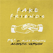 Fake Friends (Acoustic) | Ps1