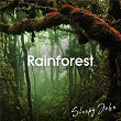 Rainforest - Sleep & Nature Sounds | Sleepy John