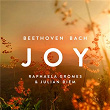 Joy (After Bach's Jesu, Joy of Man's Desiring, BWV 147, No. 10 and Beethoven's Symphony No. 9, Op.125: IV. "Ode to Joy") | Raphaela Gromes & Julian Riem