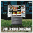 Voller Kühlschrank | Mosenu