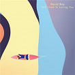 Still Used To Loving You | David Bay