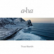 True North | A-ha