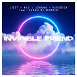 Invisible Friend | Lizot X Max + Johann X Paradigm