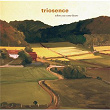 When You Come Home | Triosence