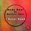 I Never Knew (feat. Matthew Yates) | Andy Soul