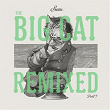 The Big Cat Remixed, Pt. 1 | Coyu