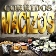Corridos Macizos | Los Pajaritos De Tacupa