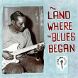 The Land Where The Blues Began - The Alan Lomax Collection | Willie Blackwell