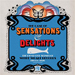 The Land Of Sensations & Delights: The Psych Pop Sounds Of White Whale Records, 1965–1970 | Professor Morrison's Lollipop