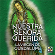 Nuestra Señora Querida La Virgen De Guadalupe | Antonio Aguilar