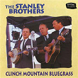 Clinch Mountain Bluegrass (Live At The Newport Folk Festival, Fort Adams State Park, Newport, RI / 1959 & 1964) | The Stanley Brothers