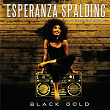 Black Gold (special guest: Algebra Blessett) | Esperanza Spalding