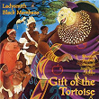 Gift Of The Tortoise: A Musical Journey Through Southern Africa | Ladysmith Black Mambazo