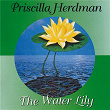 The Water Lily | Priscilla Herdman