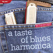 In The Pocket: A Taste Of Blues Harmonica | Ronnie Earl