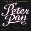 The Musical Adventures Of Peter Pan | 'peter Pan' 1996 Broadway Orchestra
