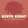 Birthright: A Black Roots Music Compendium (Louisiana Creole Sampler) | Alphonse "bois Sec" Ardoin