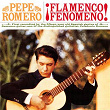 Flamenco Fenomeno! | Pepe Romero