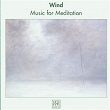 Wind - Music For Meditation Vol. 3 | Erik Schultz