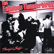 Powerful Stuff | The Fabulous Thunderbirds