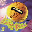 Biscuits | Living Colour