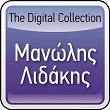 The Digital Collection | Manolis Lidakis