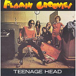 Teenage Head | The Flamin' Groovies