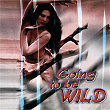Going To Be Wild | Sonu Nigam