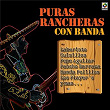 Puras Rancheras Con Banda | Pepe Aguilar