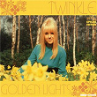 Golden Lights | Twinkle