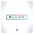 Bloom | Separations