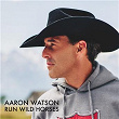 Run Wild Horses | Aaron Watson