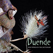 New Words in the Dictionary | Duende