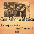 Con Sabor a México: La Mejor Música del Mariachi | Mariachi Silvestre Vargas