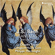 Bach: Ein feste Burg ist unser Gott, BWV 80 | Philippe Herreweghe