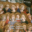 Bach: Leipzig Cantatas | Philippe Herreweghe