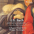 Bach: Weinen, Klagen, | Philippe Herreweghe