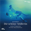 Schubert: Die schöne Müllerin: No. 15, Eifersucht und Stolz | Julian Prégardien