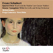 Franz Schubert: Quartet, D. 810 "Death and the Maiden", Sonata Arpeggione, D. 821 | Michael Kanka