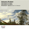 Johannes Brahms: The Two Sonatas for Cello and Piano | Michael Kanka