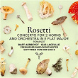 Rosetti: Concerto for 2 Horns and Orchestra in E-Flat Major, RWV C56Q: II. Romance. Adagio | Bart Aerbeydt