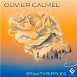 Olivier Calmel: Gravity Ripples | Pauline Haas