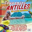 Souvenirs des Antilles | Stellio