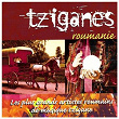 Tziganes Roumanie (Les plus grands artistes roumains de musique tzigane) | Simion Stanciu, Gipsy Nostalgia