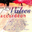 Les plus grandes valses à l'accordéon (French Accordion) | Michel Pruvot