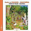 Forêts de Pologne - Bialoweja Forests of Poland | Frémeaux Nature