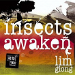 Insects Awaken | Lim Giong